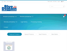 Tablet Screenshot of bluedomain.biz